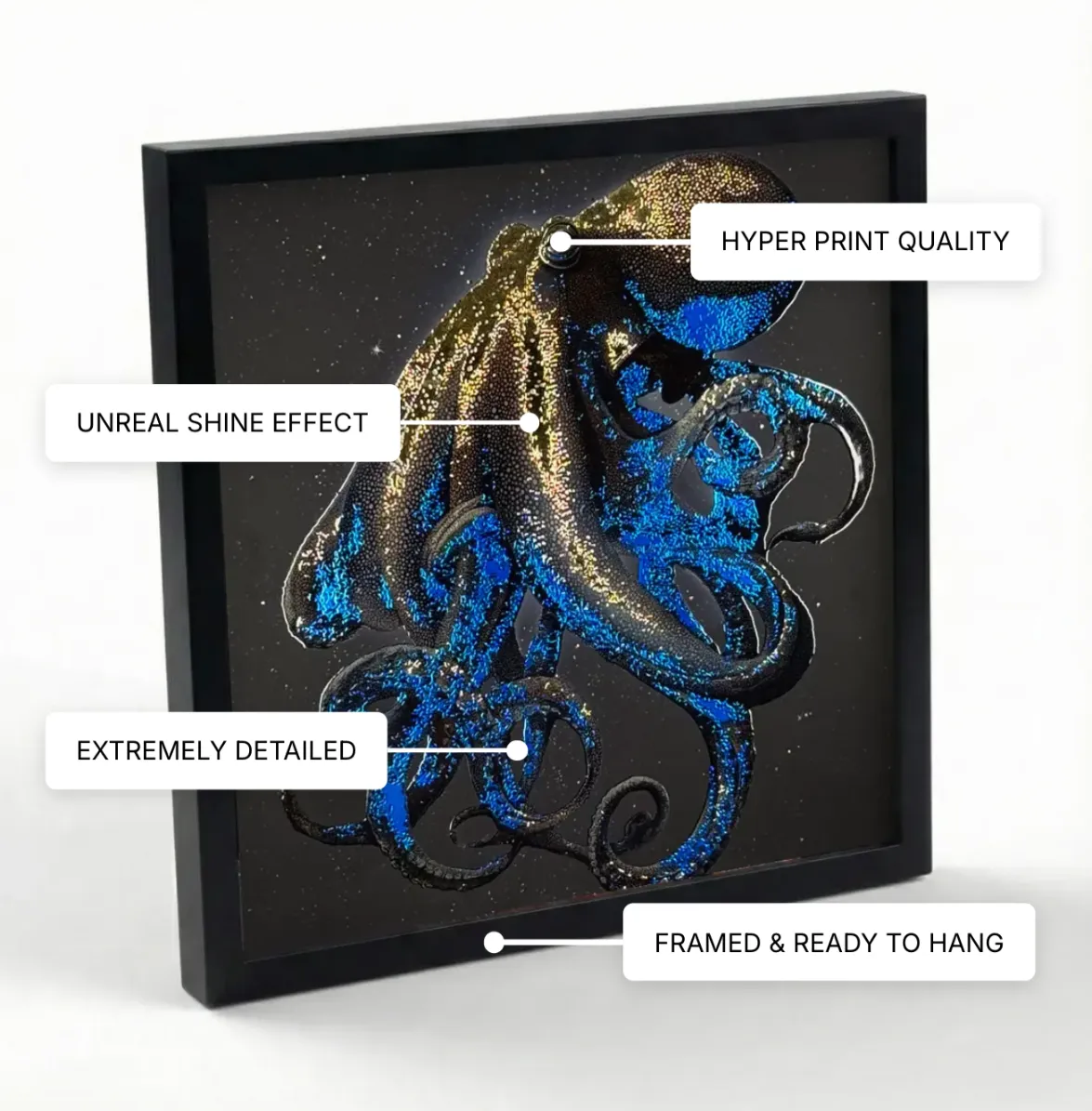 Stellar Octopus - Drop 01