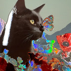 Midnight Bloom – Drop 01